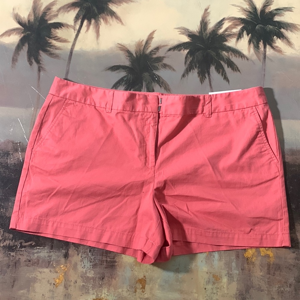 Ann Taylor Loft shorts size 16 Salmon pink